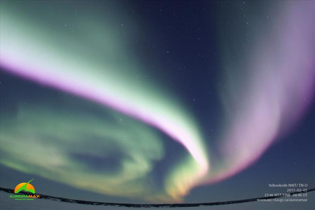 northern lights with pink hues