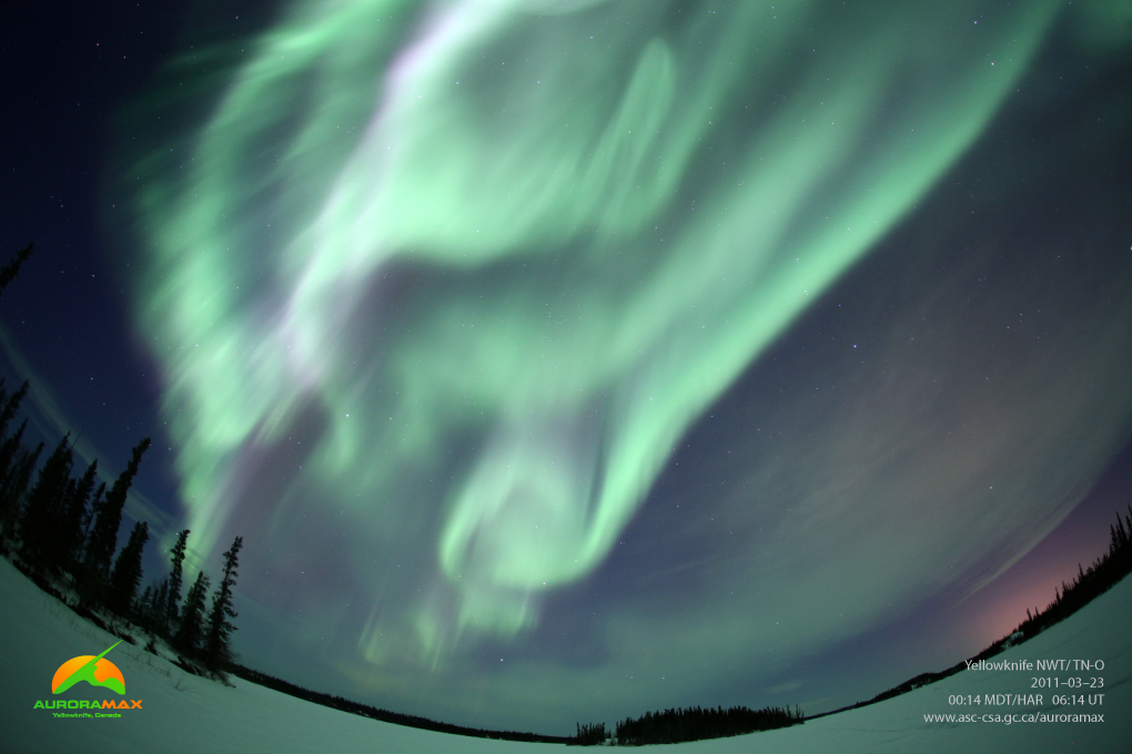 aurora
